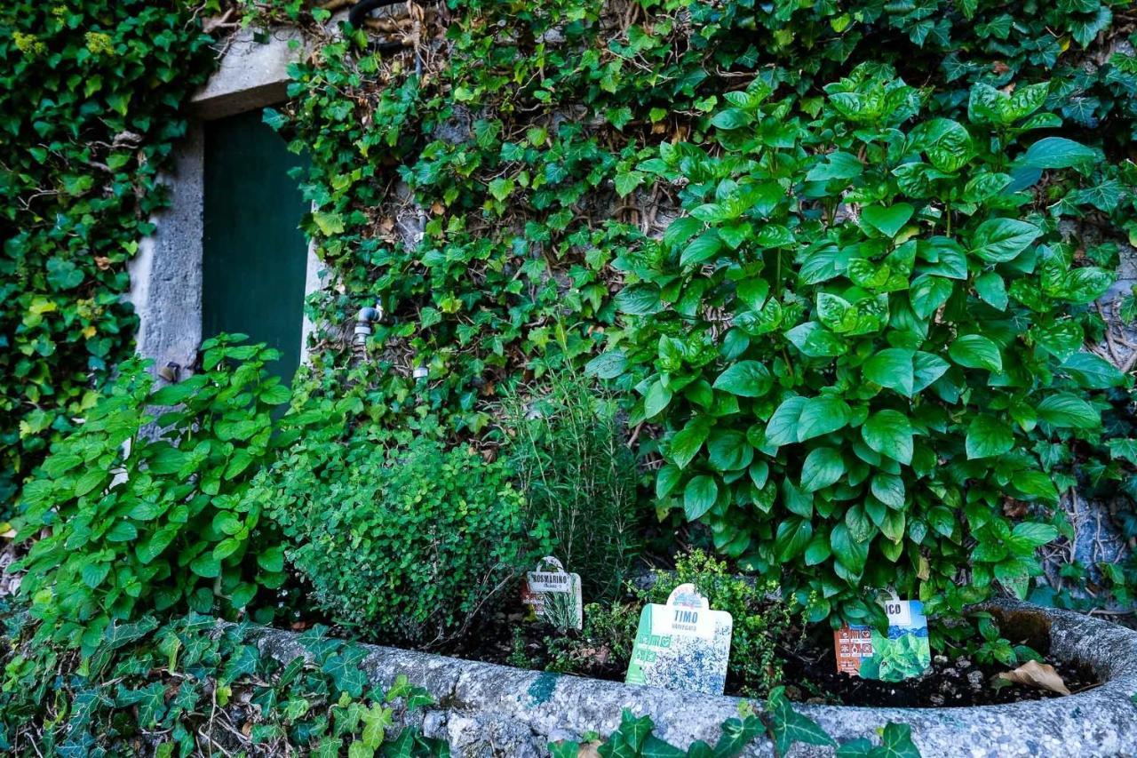 Villa Gina Varenna Esterno foto